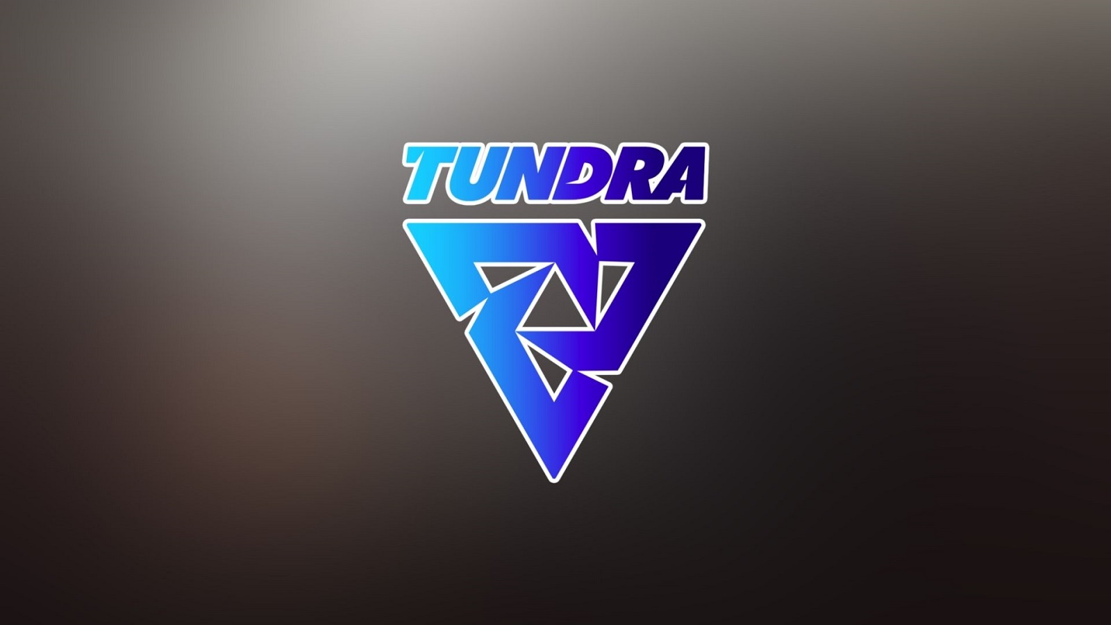 Banner da Tundra Esports 