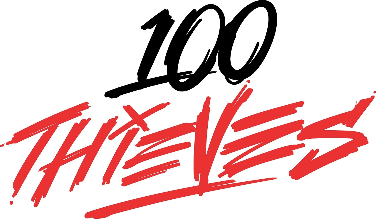 Banner da 100 Thieves 