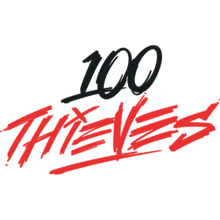 100 Thieves Academy logo