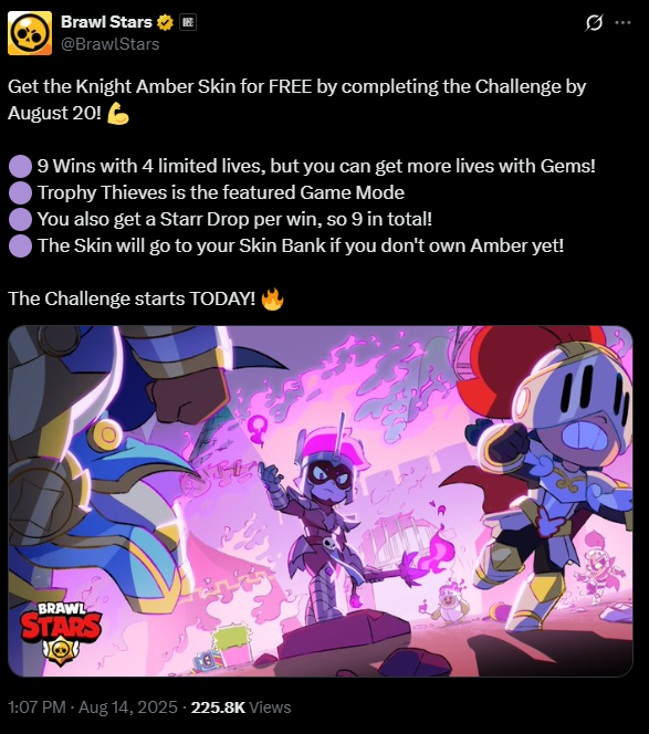 How the Challenge Functions